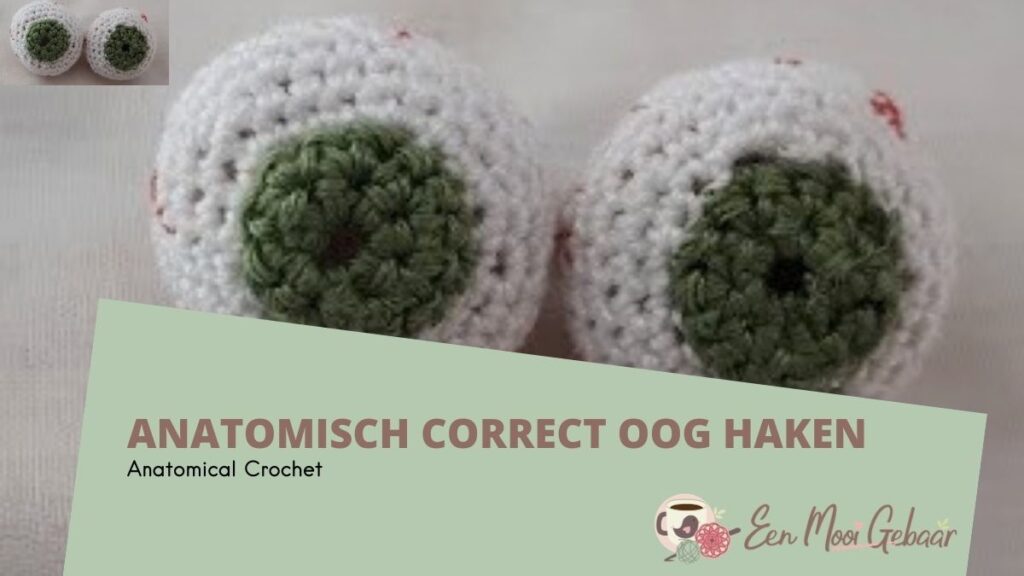 Anatomisch Correct Oog Anatomical Crochet Omslagfoto