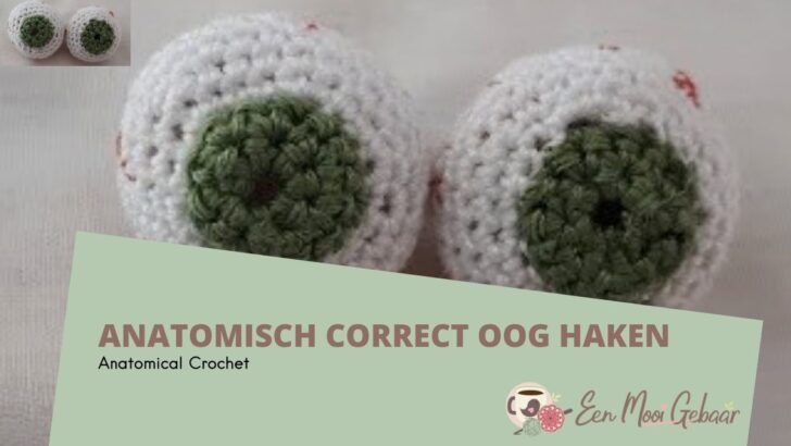 Anatomisch Correct Oog Anatomical Crochet Omslagfoto