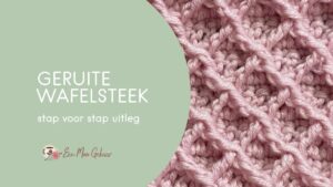 Geruite Wafelsteek Omslagfoto