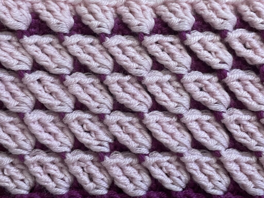 Getipte schubsteek close up 3