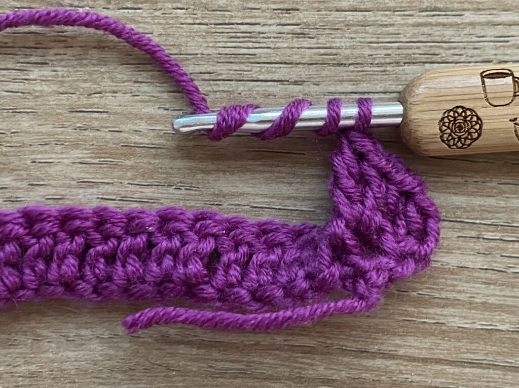 Getipte schubsteek stap 22