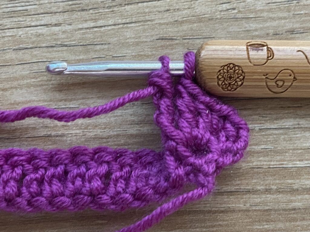 Getipte schubsteek stap 27