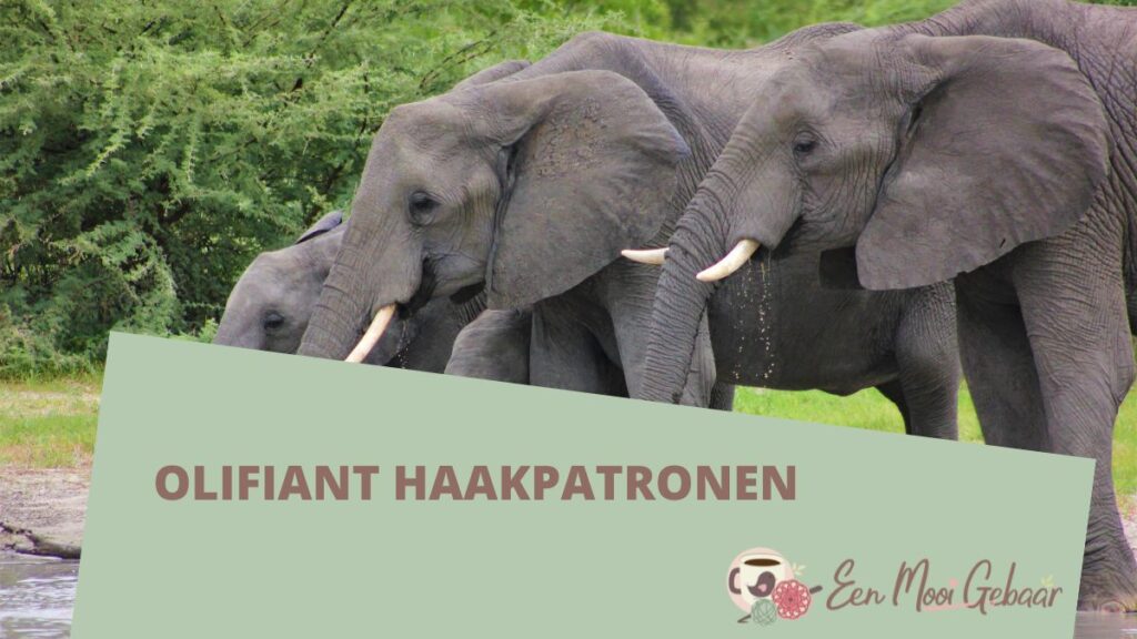 Internationel Dag van de olifant HaakpatronenOmslagfoto