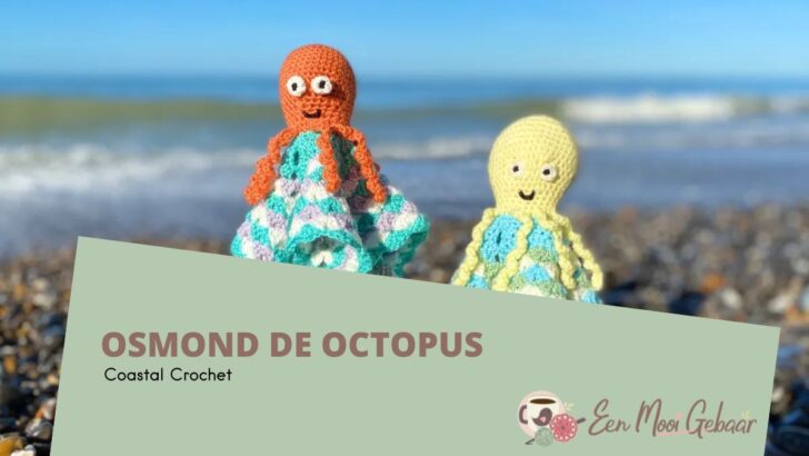 Osmond de Octopus Coastal Crochet Omslagfoto