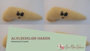 Alvleesklier Haken Anatomical Crochet Omslagfoto