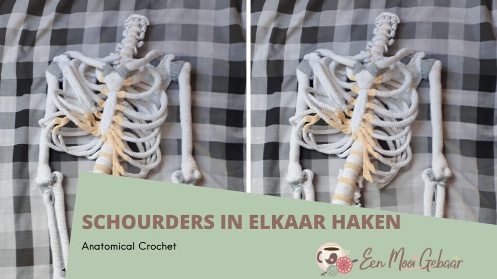 Anatomical Crochet Schouders in elkaar haken Omslagfoto