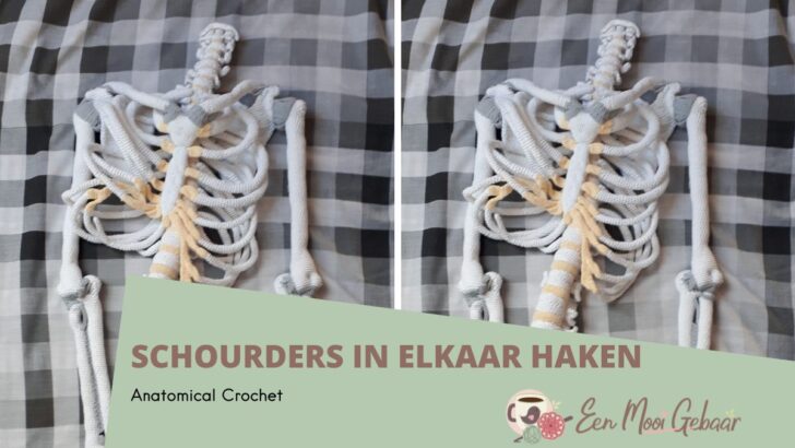 Anatomical Crochet Schouders in elkaar haken Omslagfoto