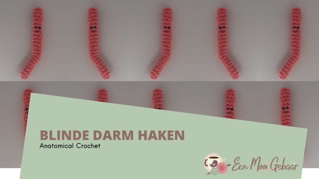 Blinde Darm Haken Anantomical Crochet Omslagfoto 1