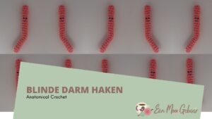 Blinde Darm Haken Anantomical Crochet Omslagfoto 1