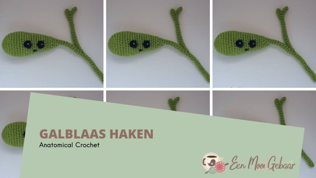 Galblaas Haken Anatomical Crochet Omslagfoto