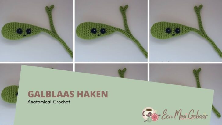 Galblaas Haakpatroon 2 Galblaas Haken Anatomical Crochet Omslagfoto