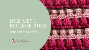IJsje met 1 bolletje steek Omslagfoto