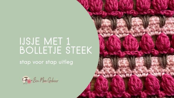 IJsje met 1 bolletje steek 1 IJsje met 1 bolletje steek Omslagfoto