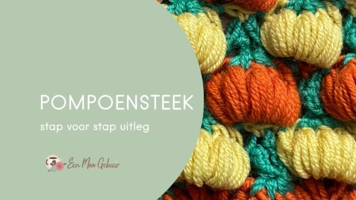 Pompoensteek Omslagfoto