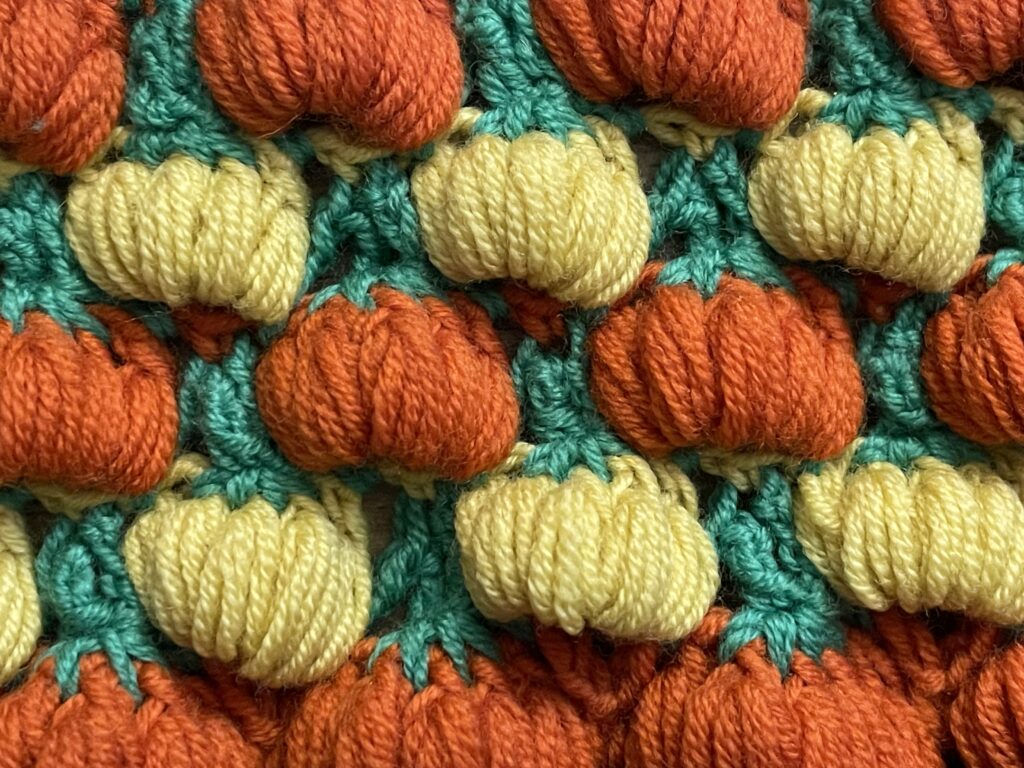 Pompoensteek close up 2