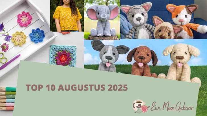 Top 10 augustus 2025 Omslagfoto
