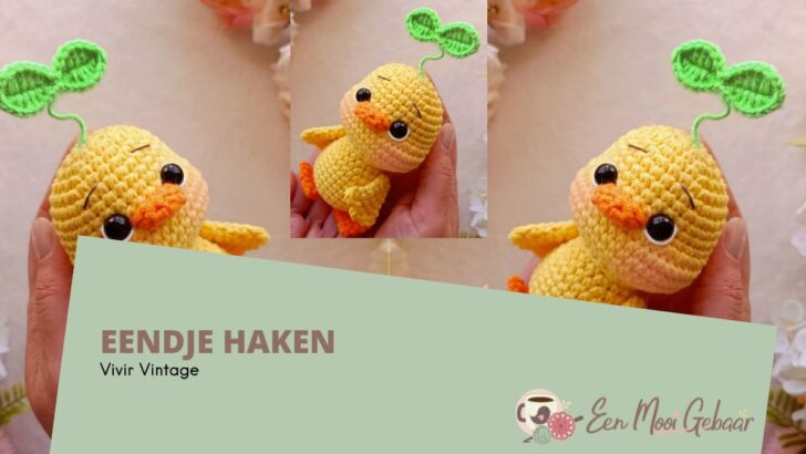 Haakpatroon Eendje 2 Eendje Haken Vivir Vintage Omslagfoto