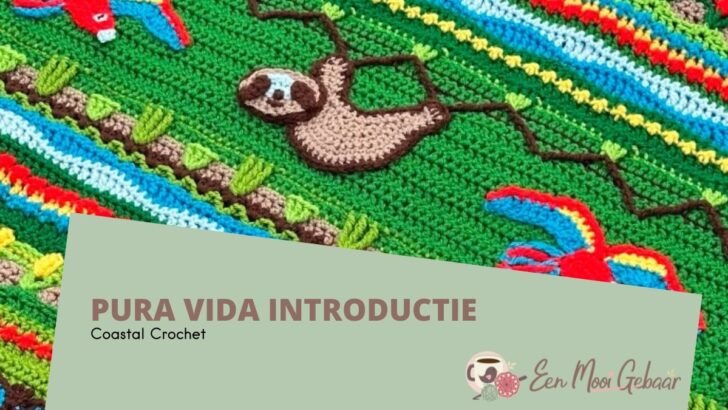 Pura Vida Deken haakpatroon