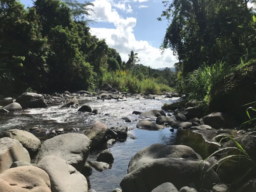 Pura Vida Introductie 15