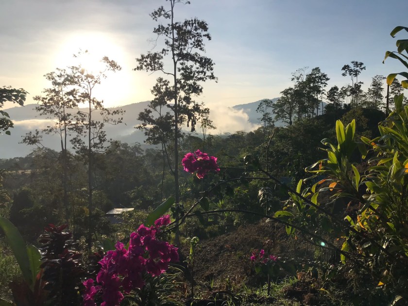 Pura Vida Introductie 16