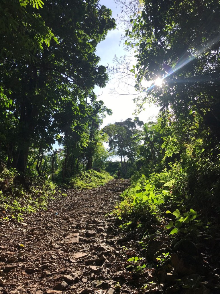 Pura Vida Introductie 17