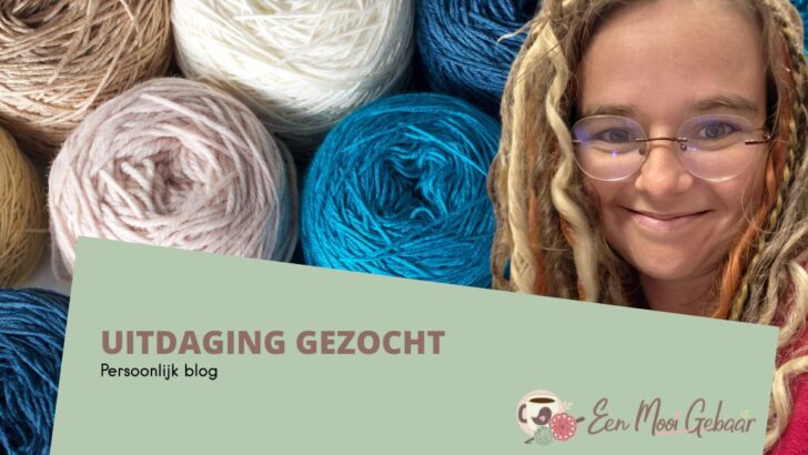 Uitdaging gezocht Omslagfoto
