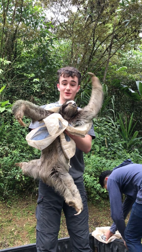 Pura Vida - Deel 7, 8 en 9 7 image 11