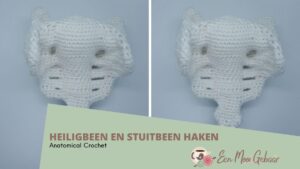 Anatomical Crochet heiligbeen en stuitbeen haken Omslagfoto