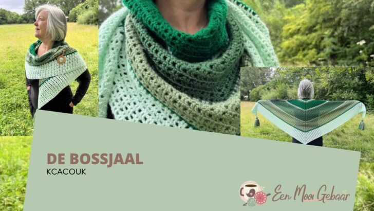 De Bossjaal 1 Bossjaal KCACOUK Omslagfoto