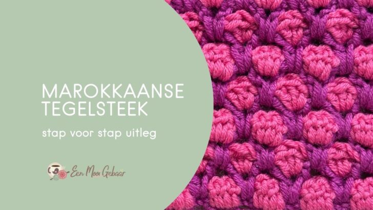 Marokkaanse tegelsteek