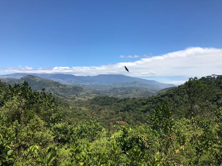 Pura Vida - Deel 10 en 11 11 Pura Vida Deel 10 en 11 11