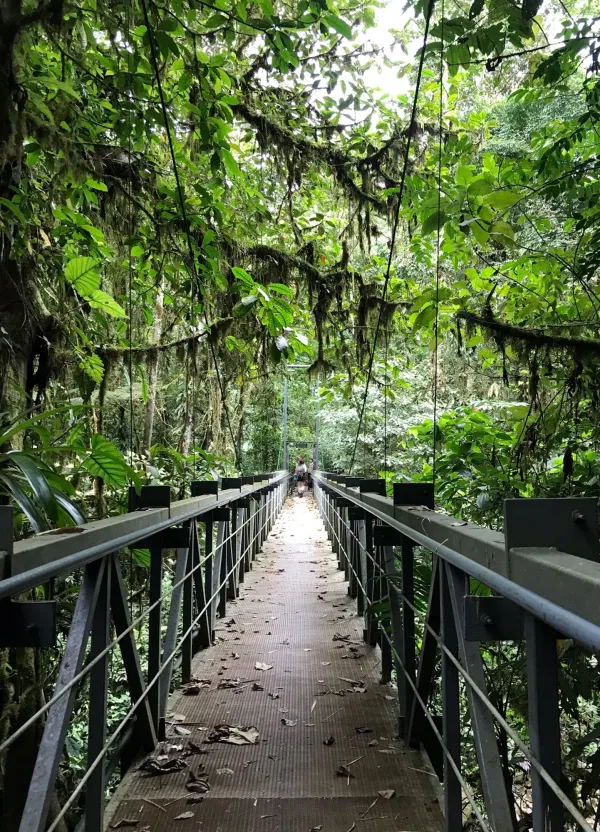 Pura Vida Laatste week 23