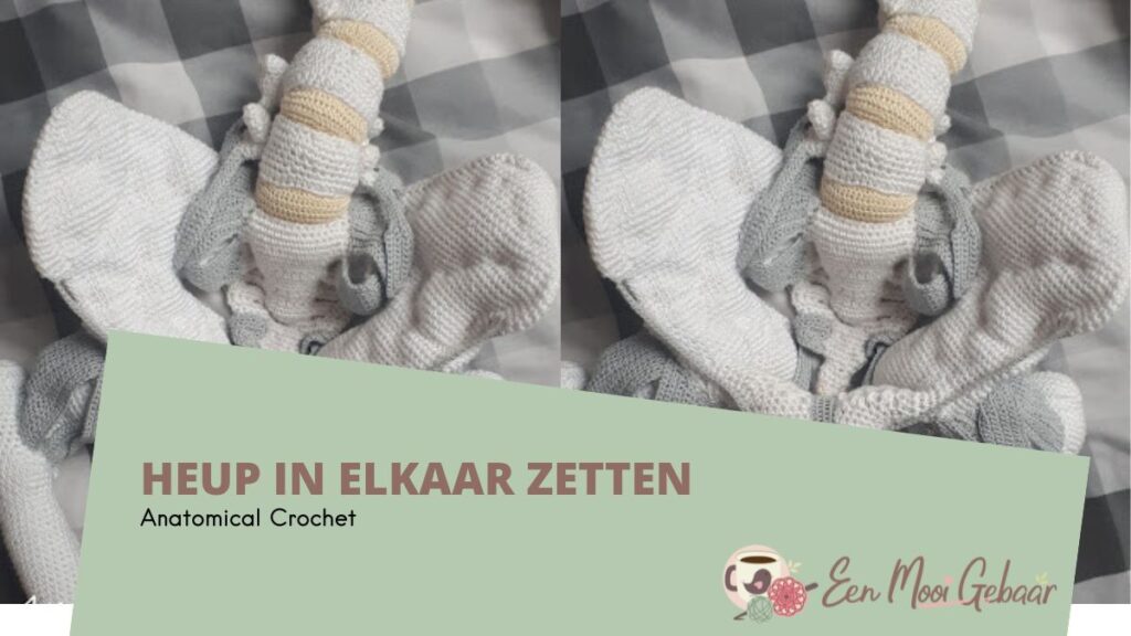 Heup in elkaar zetten Anatomical Crochet Omslagfoto