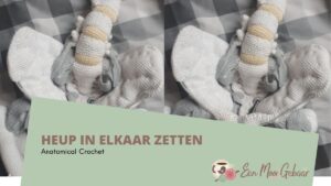 Heup in elkaar zetten Anatomical Crochet Omslagfoto