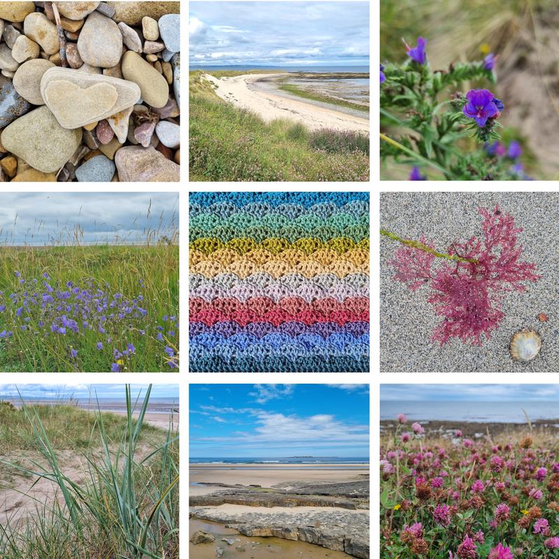 Wilde Kust Deken Introductie 1