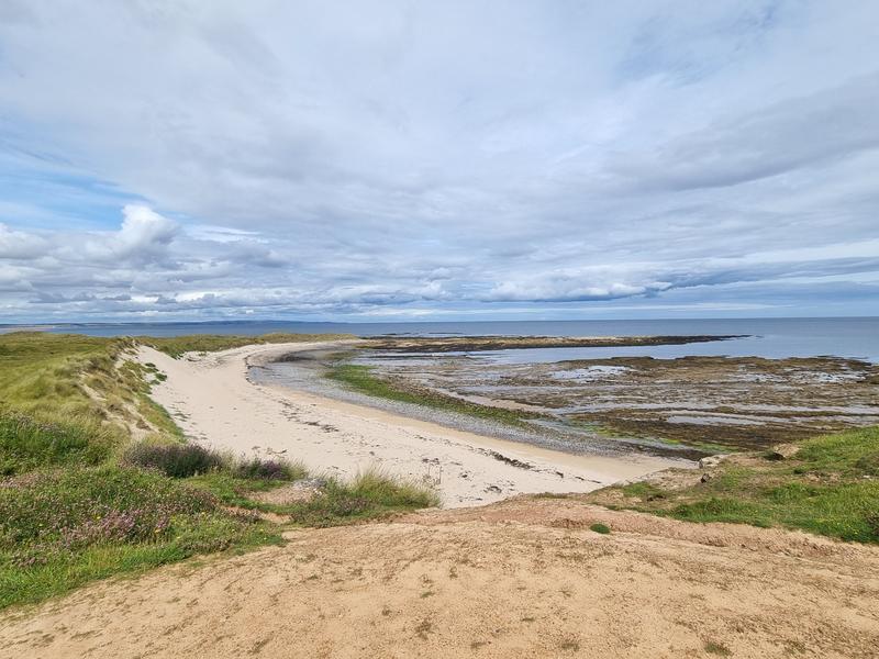 Wilde Kust Deken Introductie 3