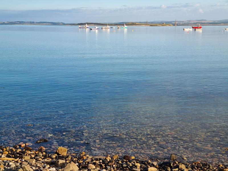 Wilde Kust Deken Introductie 6