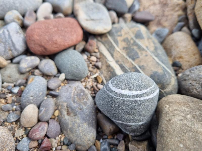 Wilde Kust Deken Introductie 8