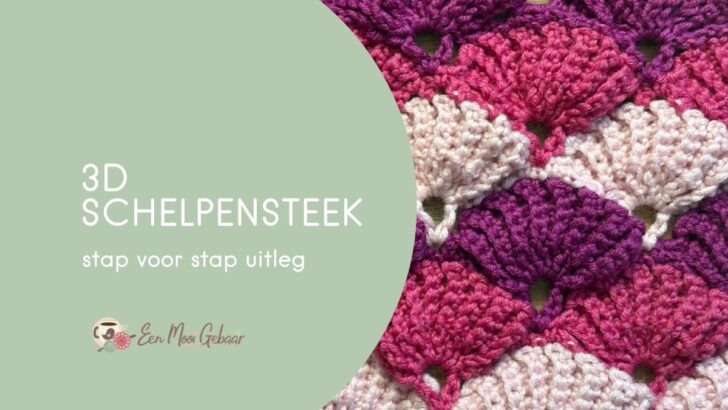 3D Schelpensteek Omslagfoto