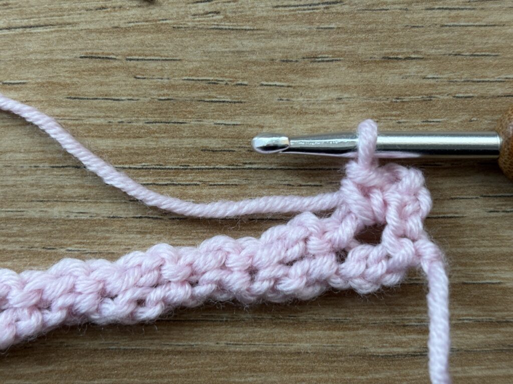 3D Schelpsteek stap 20