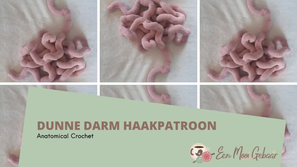 Dunne Darm Haakpatroon Anatomical Crochet Omslagfoto