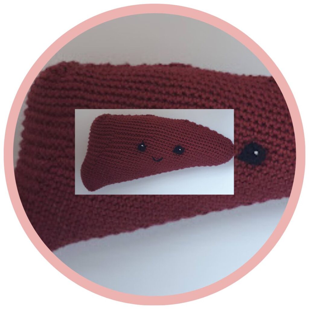 Lever Haakpatroon 33 Lever Haakpatroon Anatomical Crochet Galerij