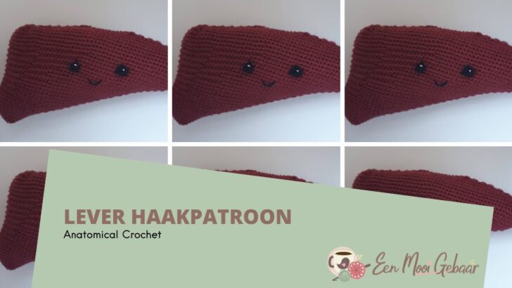 Lever Haakpatroon 1 Lever Haakpatroon Anatomical Crochet Omslagfoto