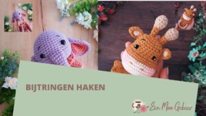 Bijtringen haken Themapagina Omslagfoto