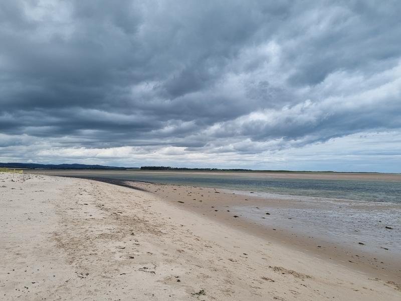 Wilde Kust Deken Deel 6 1