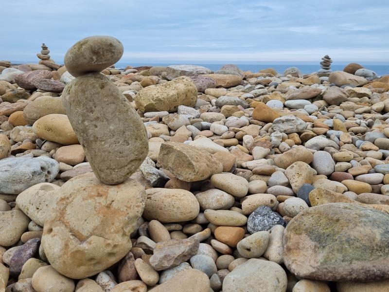 Wilde Kust Deken Deel 6 3