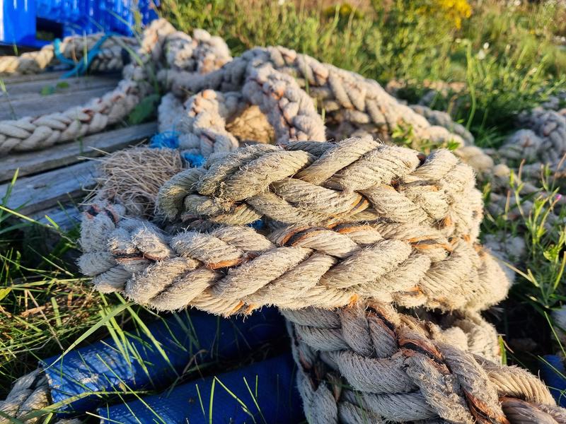 Wilde Kust Deken Deel 6 7