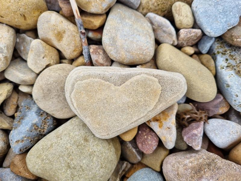 Wilde Kust Deken Deel 6 8