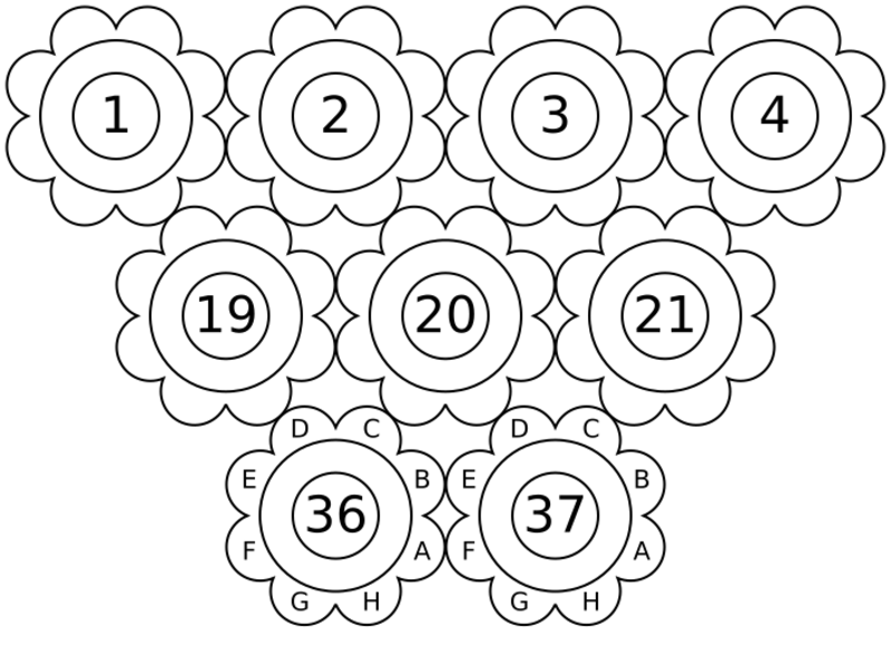 Bloemen Sjaal Haakpatroon 45 Bloemen Sjaal Afbeeelding 43