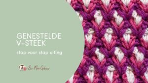 Genestelde V Steek Omslagfoto